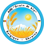 Grain de blé